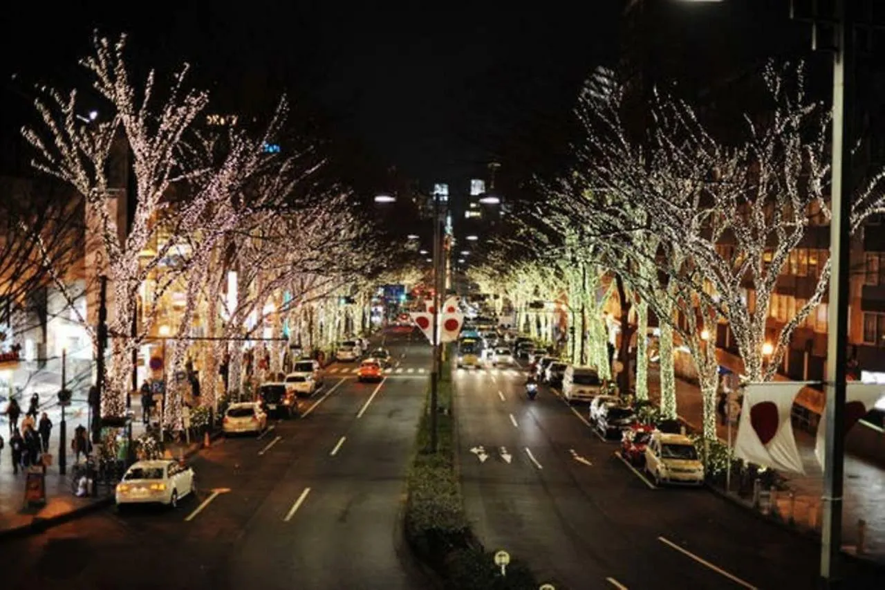 Evergreen Shinjuku Luxe #2M13 東京都 0*,  日本